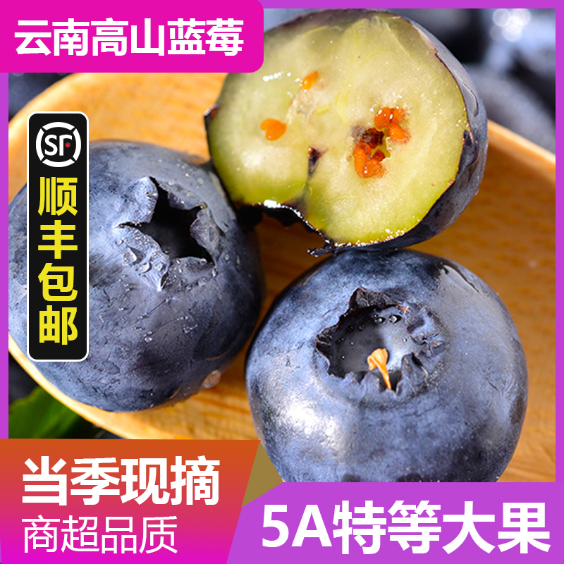 【10盒装】云南花香蓝莓18-15mm新鲜精选果脆香甜顺丰京东发货100g/盒云南省
