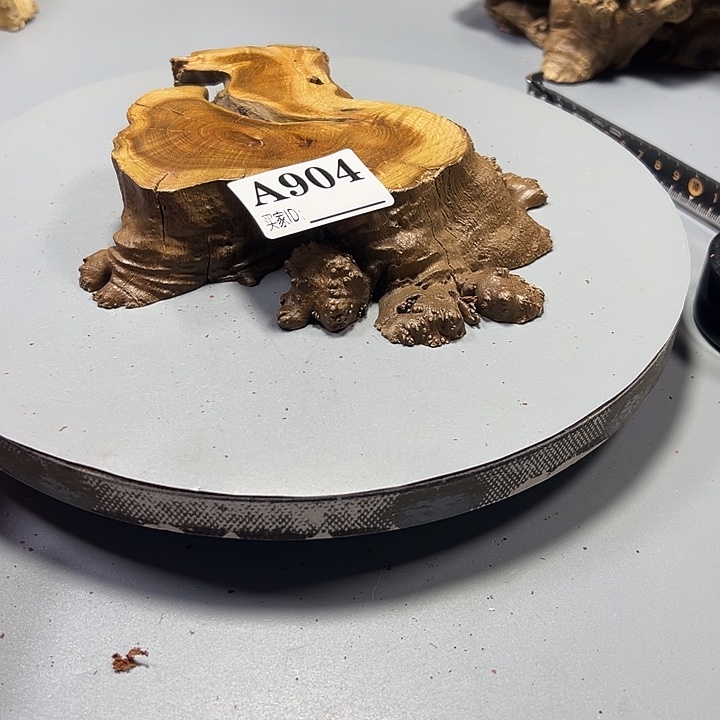 叶***秋大果紫檀（缅甸花梨）