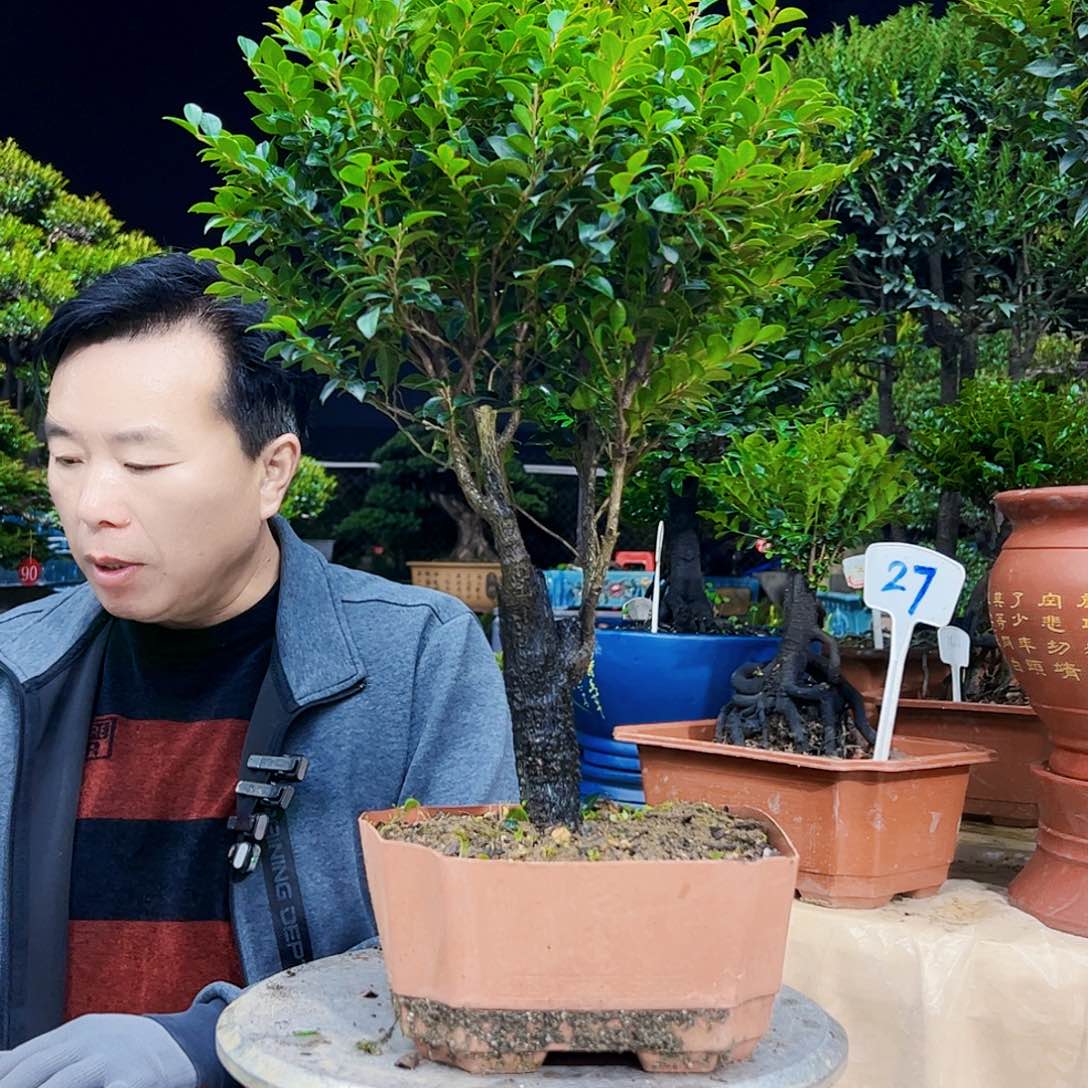 以实际为准我**翔12345678