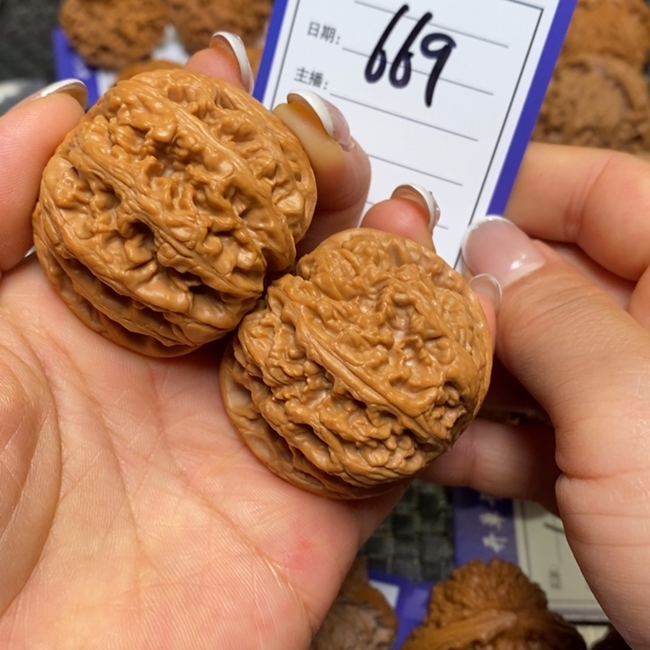 手串文玩核桃669粗筋44