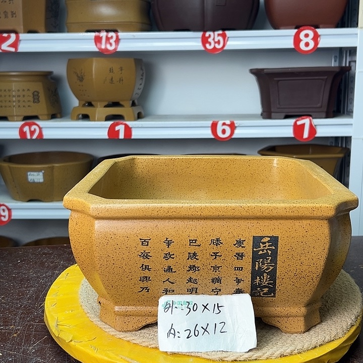 花盆紫砂你在一起
