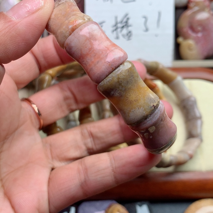 硅化珊瑚（珊瑚玉）颈饰未镶嵌
