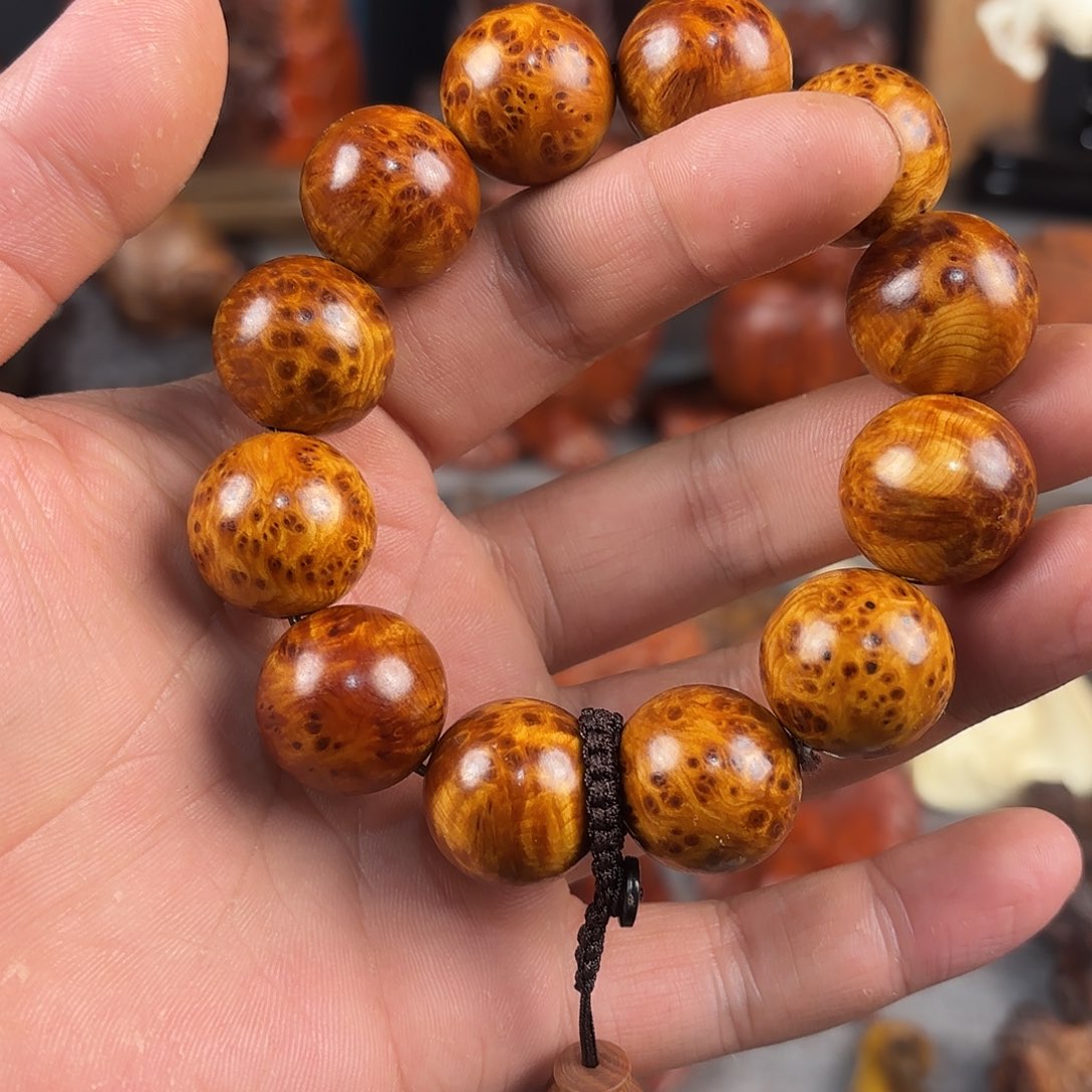 柏木（崖柏）800000