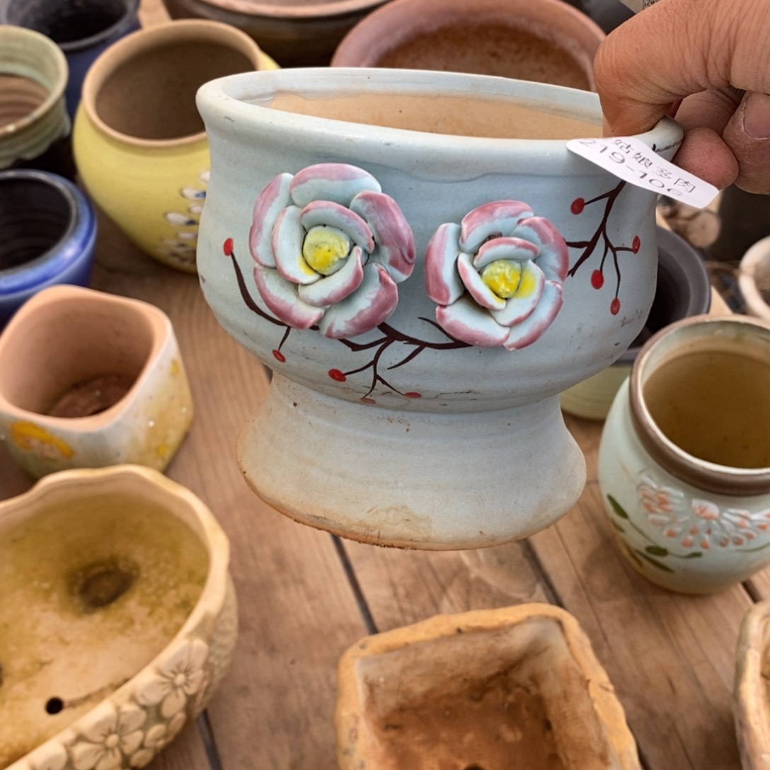 红陶昔**了106号多肉盆一个呀