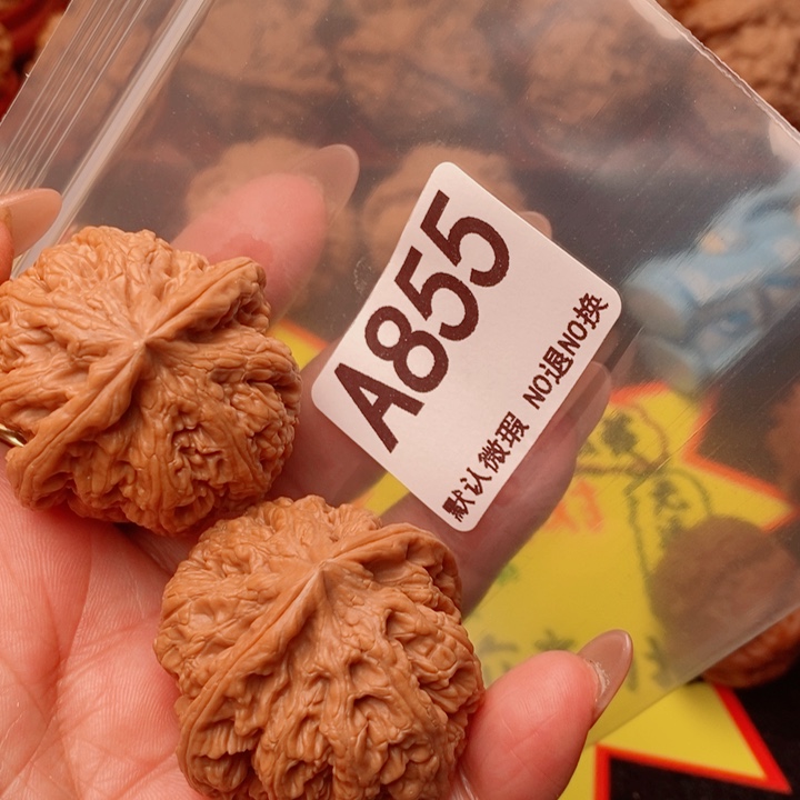 粗筋41尺855号瑕疵