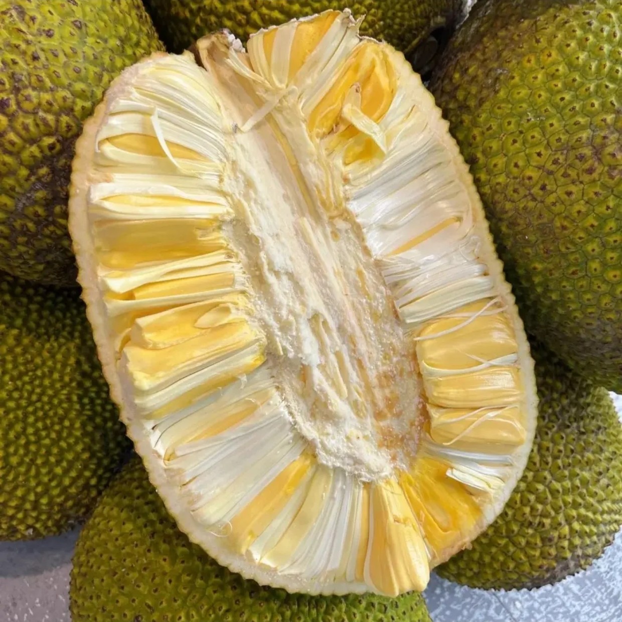 菠萝蜜一个（汇园大道店配送）