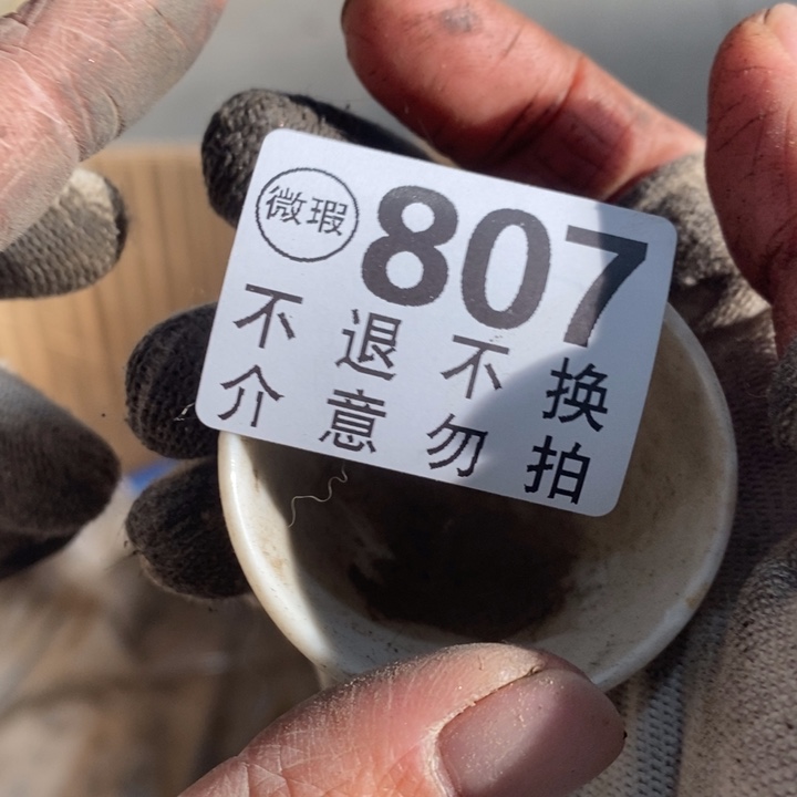 平***生陶瓷故他可以旅途