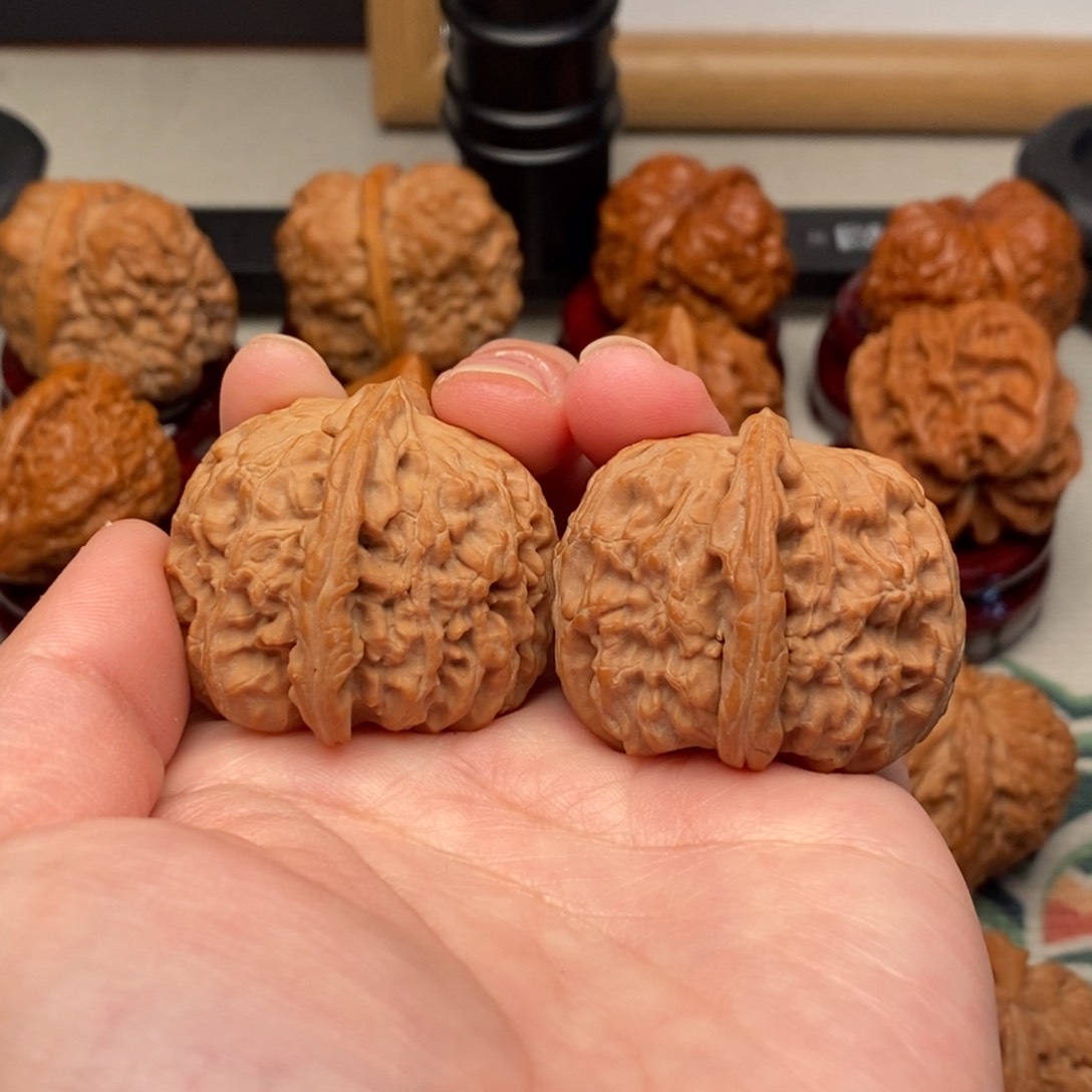 文玩核桃把件36尺白狮子