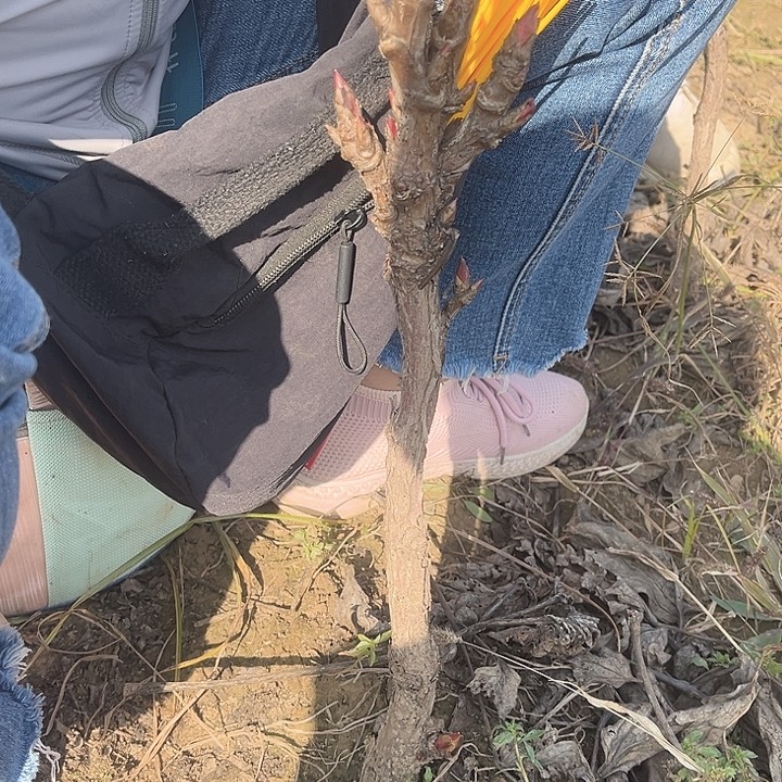 完全开放111111111111111