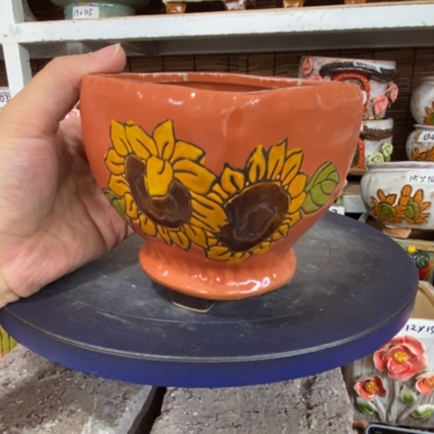 【闪购商品】         