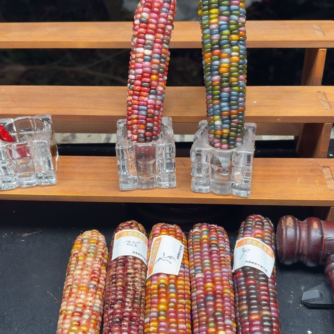 柚***皮七彩宝石文玩玉米