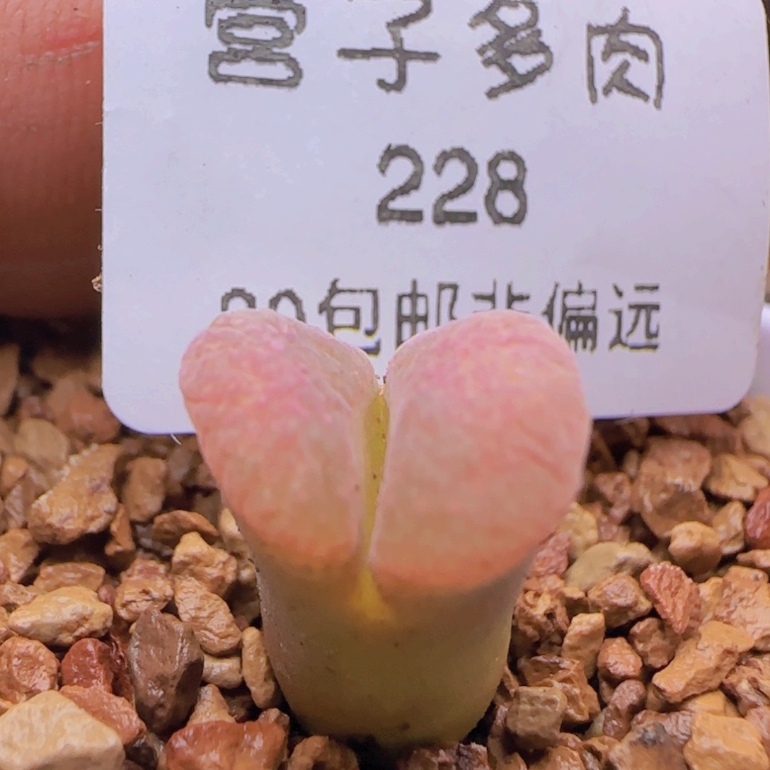 产地C10脱土发货。      