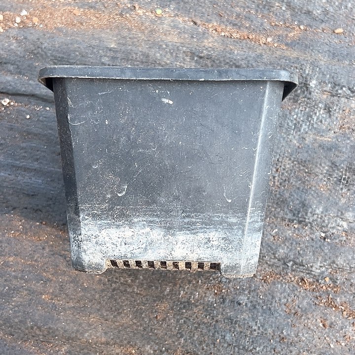 塑料口径13.5 高度11 黑方 一组10个