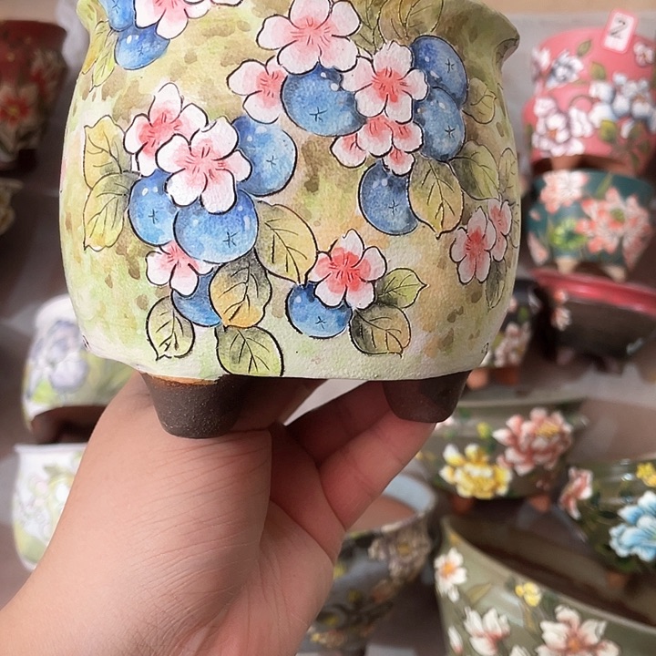 红陶小*豆95米88888888