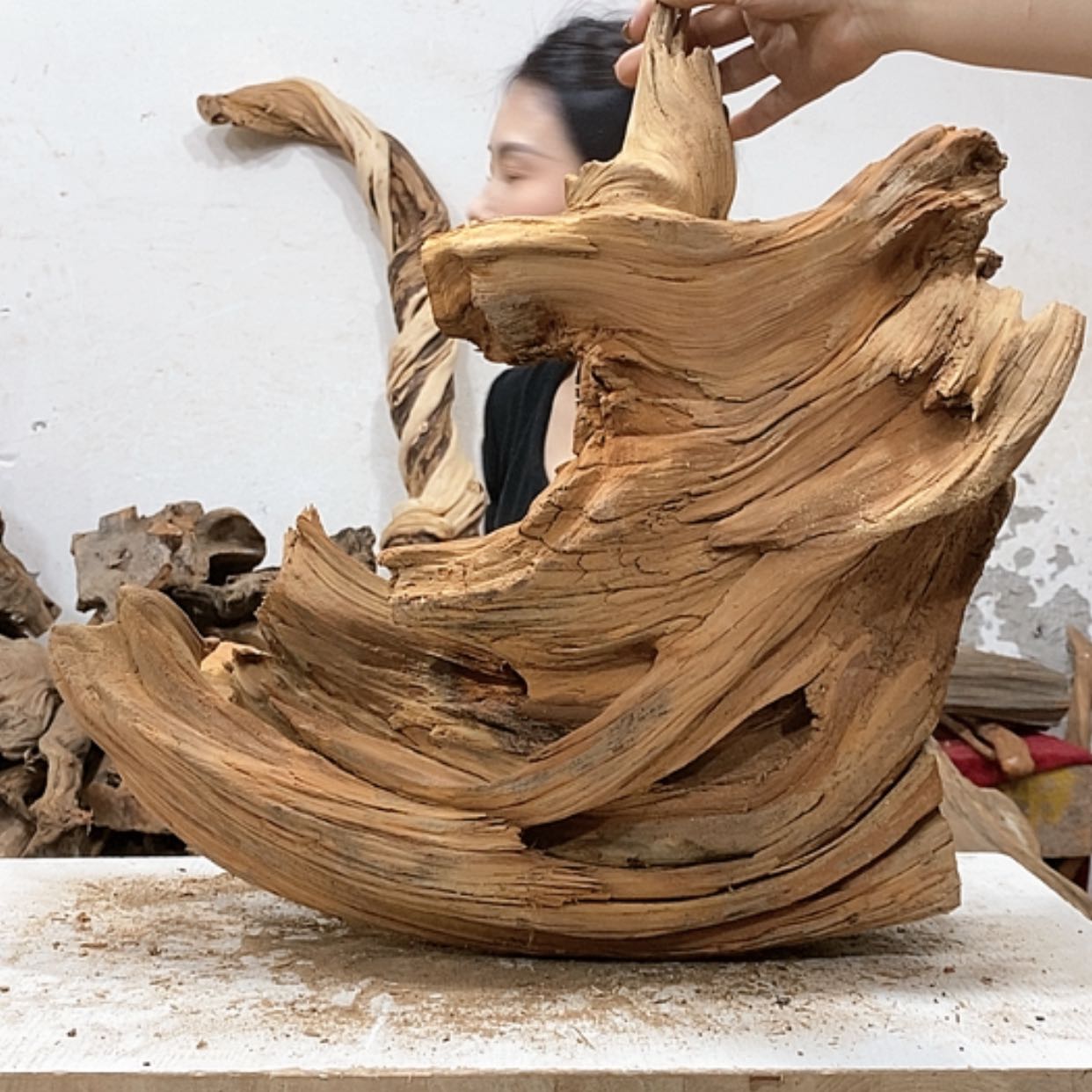 【闪购商品】柏木艺**葩我们都是好孩子