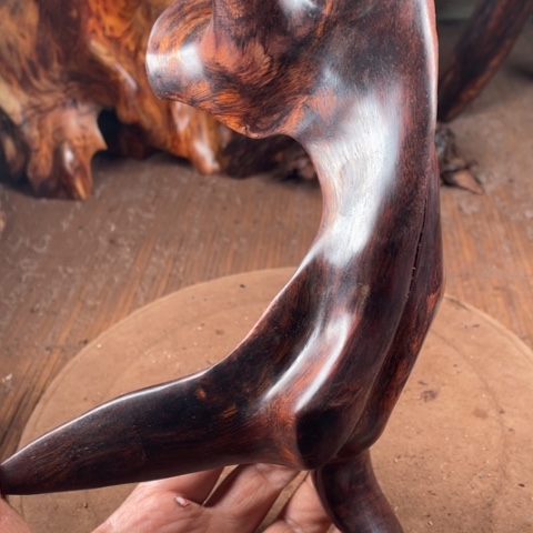 黄花梨/降香黄檀雨*