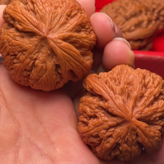 文玩核桃把件秦岭山脉核桃