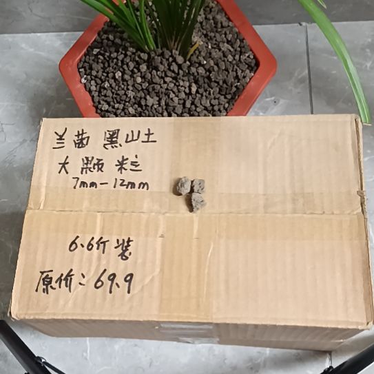 真***恒兰菌黑山土大颗粒6.6斤