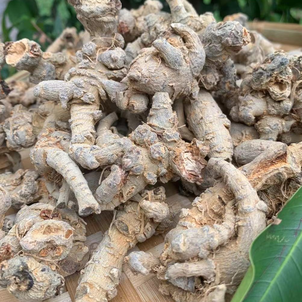 【阿海精选】土特产多头三柒