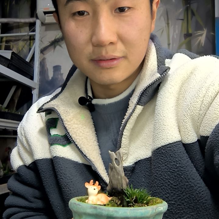 發***记中青园艺一物一拍花252