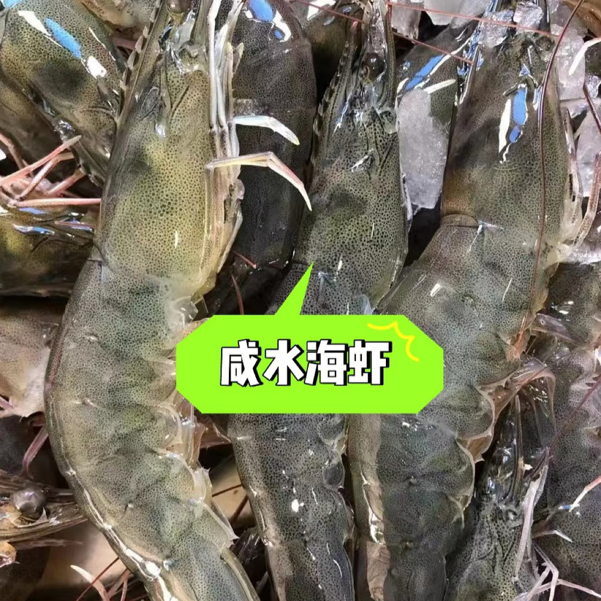 【鲜活】大海对虾一斤（12−15只/斤）“一吃到底，虾不为例 ”