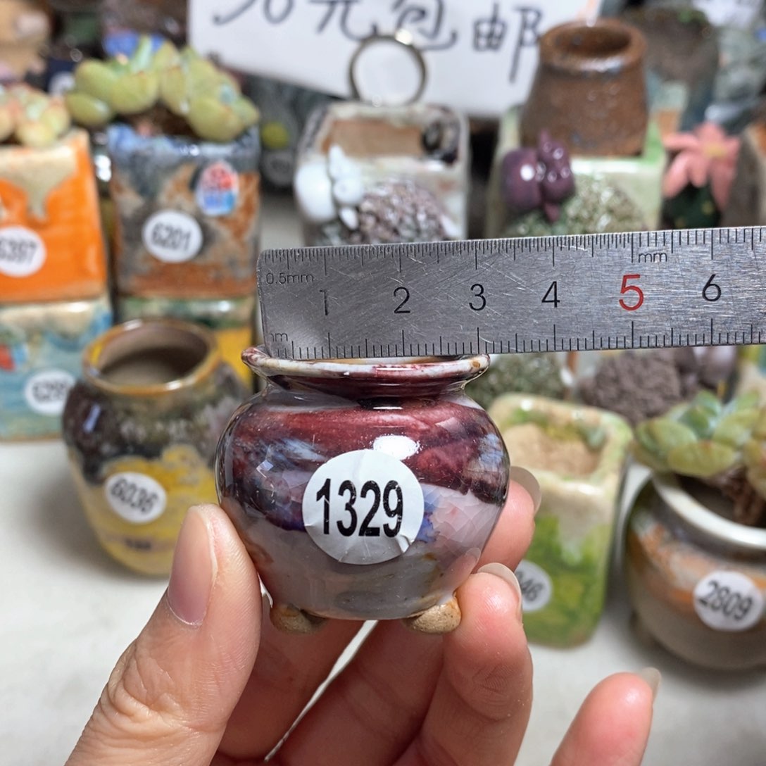 拍5送一个小礼物