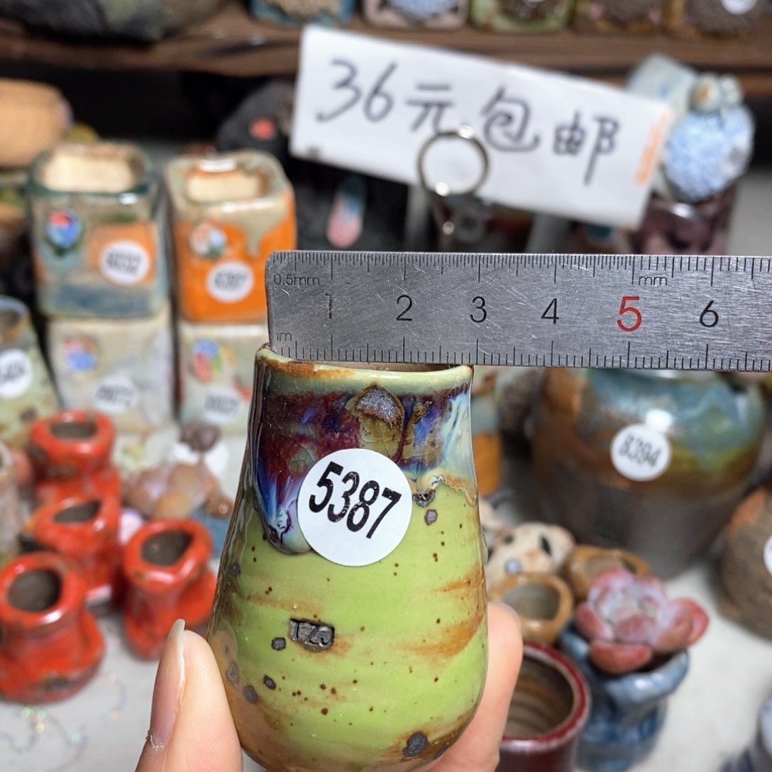 花盆拍5送一个小礼物