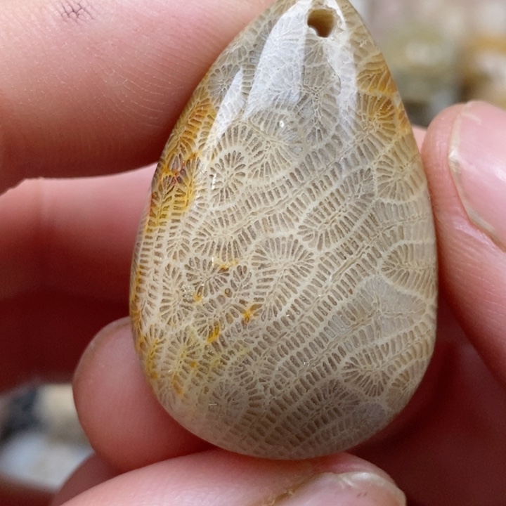 颈饰未镶嵌硅化珊瑚（珊瑚玉）小