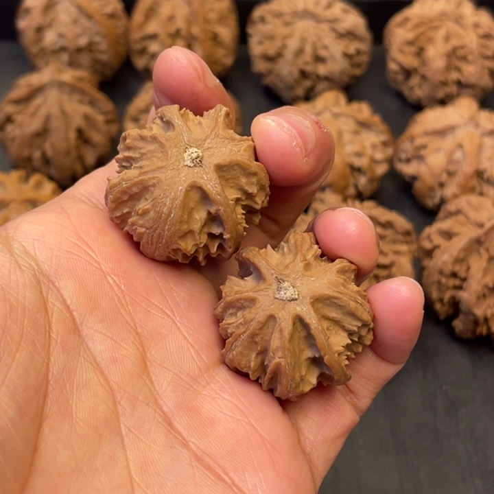 文玩核桃吊坠突突突突突突突突