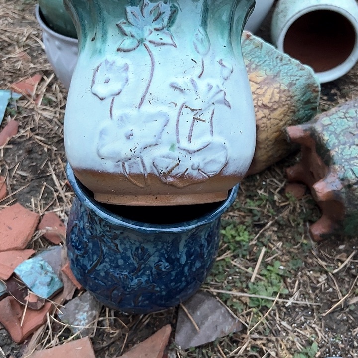 红陶口15高16。。。。。。。