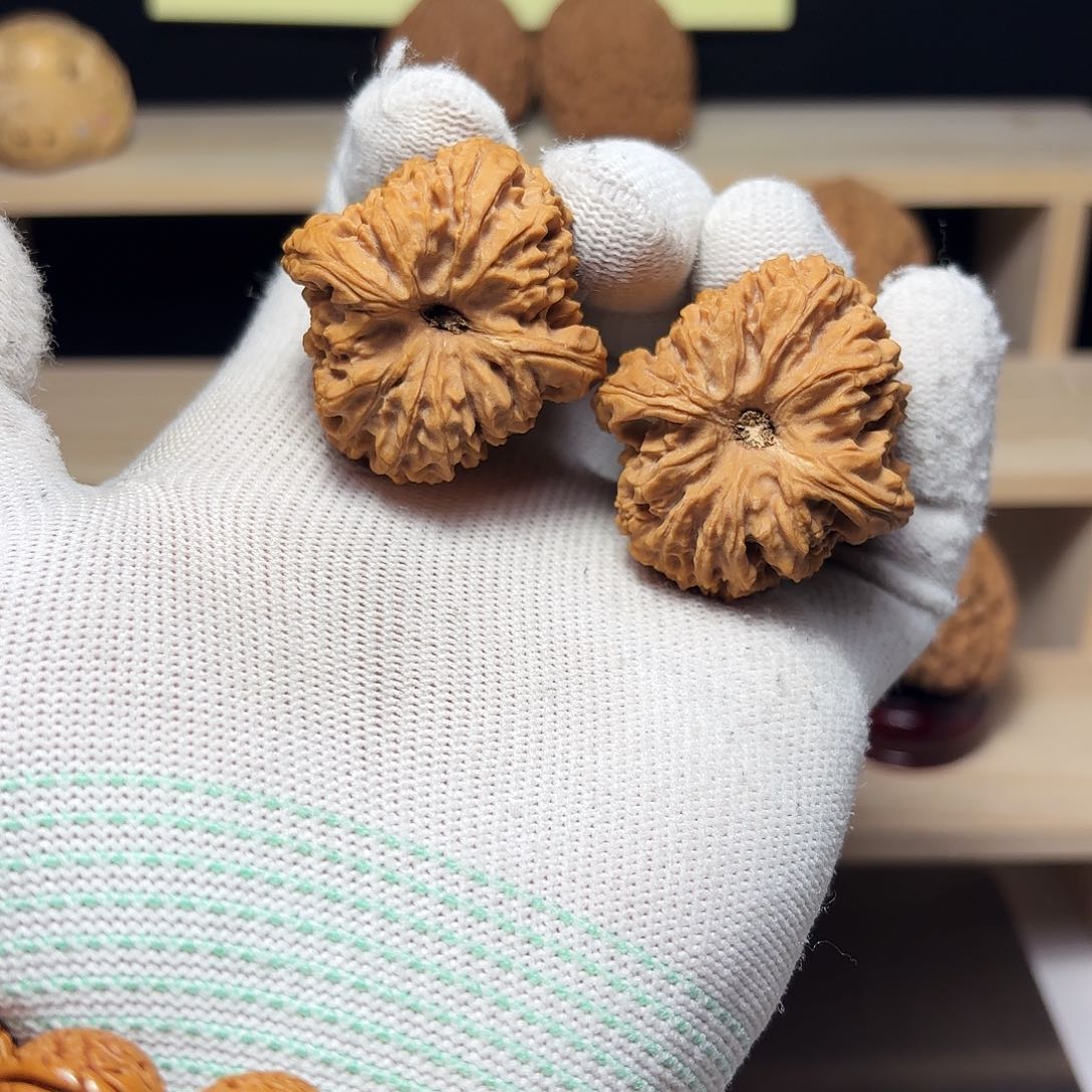 文玩核桃把件長*涿鹿南将高炮