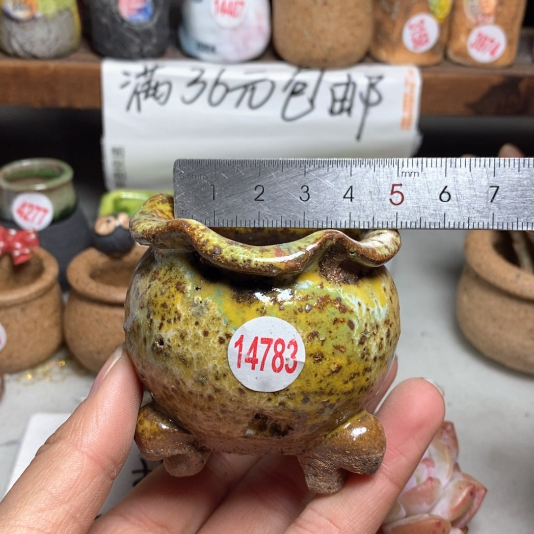 红陶拍5送一个小