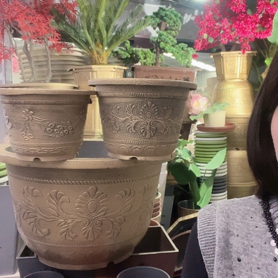 红陶盆景885888885