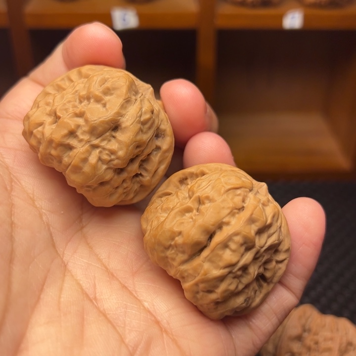 桃核把件40尺全品蛤蟆头