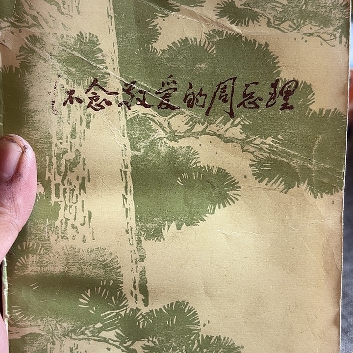 雷***火怀念敬爱的周总理