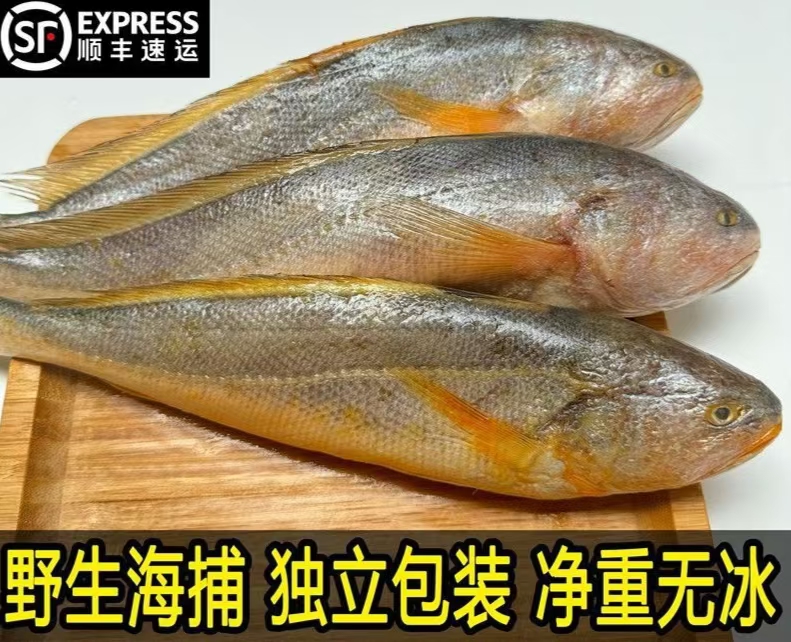 4条  新鲜速冻整条黄鱼1-1.2斤 左右/条 到手4条