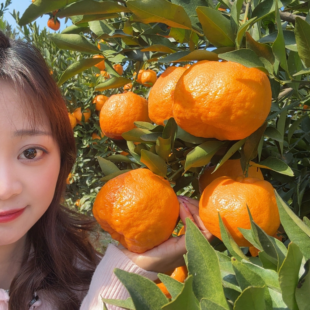 童装【知小一】可爱好吃呀