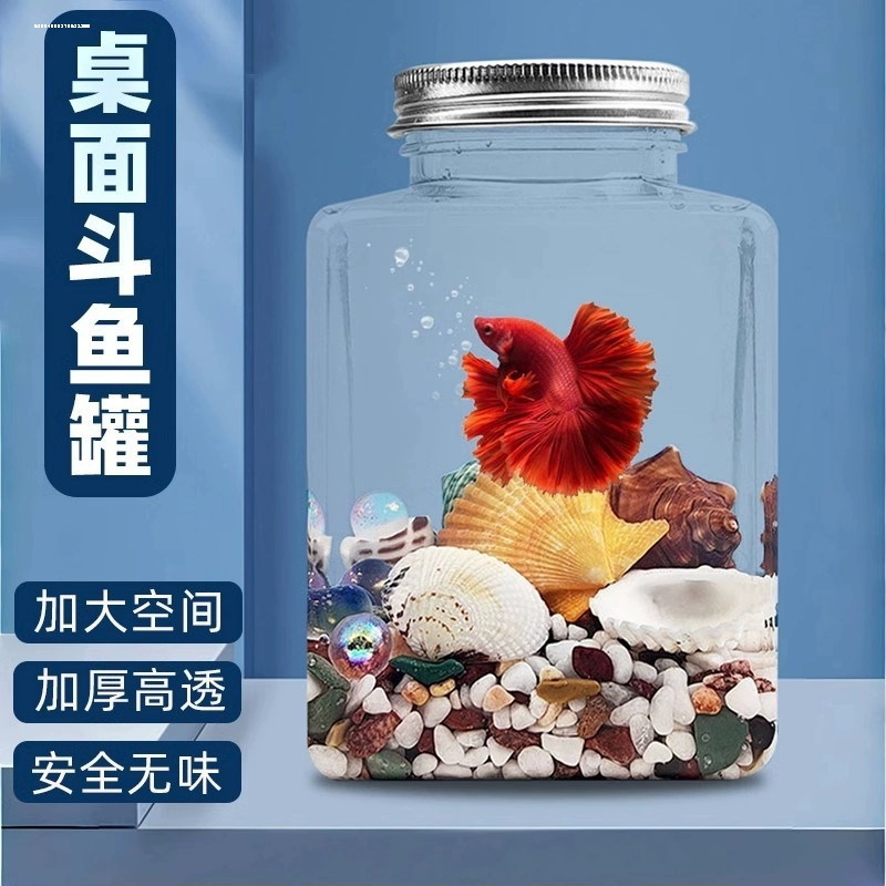 泰国斗鱼斗鱼罐巨斗原斗超白缸斗鱼缸斗鱼瓶高清透明 