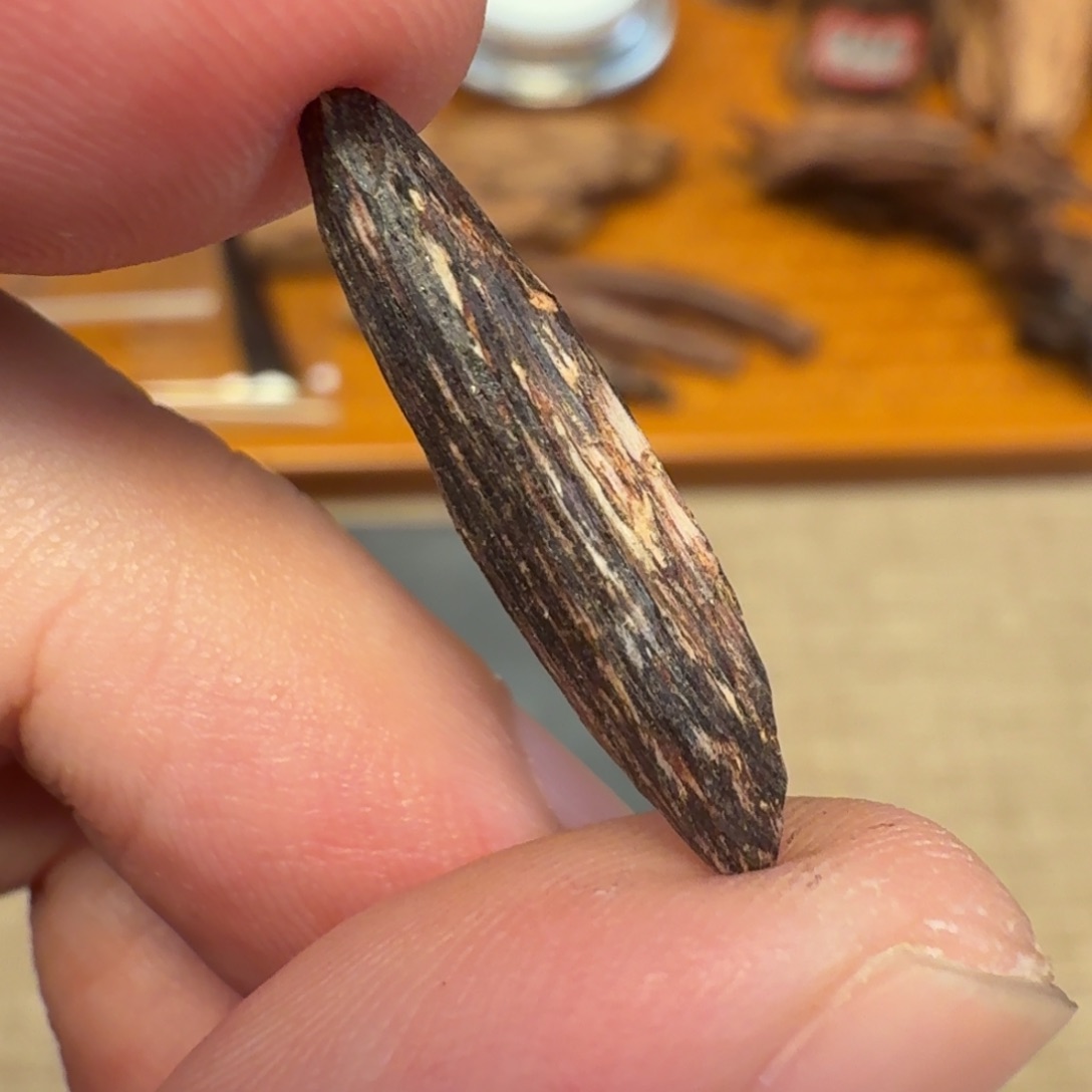 沉香香港西贡棋韵瓜子