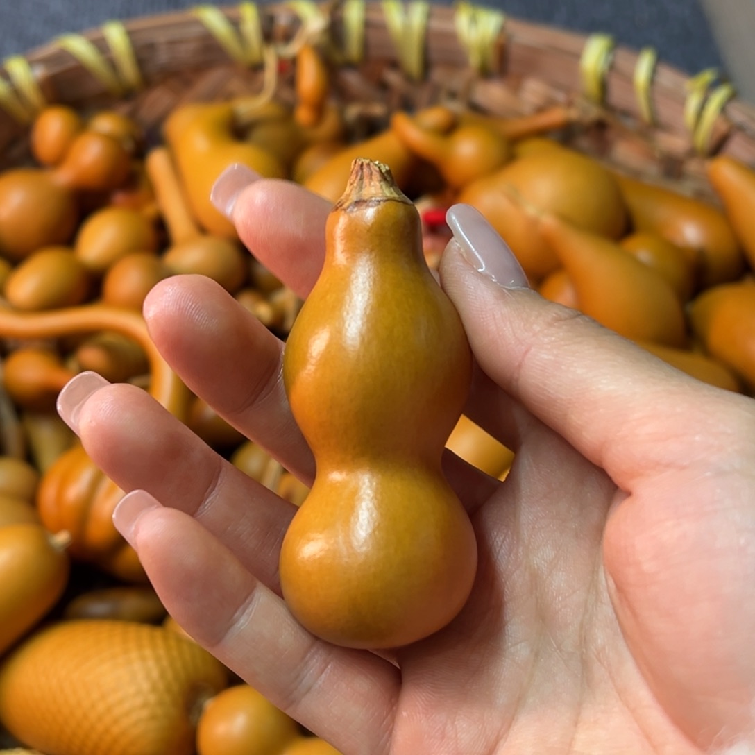 木***鱼葫芦葫芦葫芦葫芦