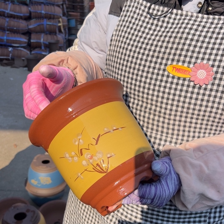 黄点菜金钟花盆小一个花盆花盆花盆