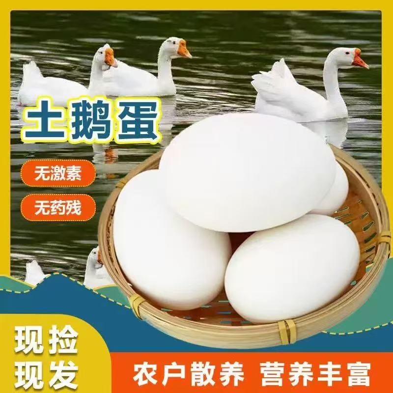 新鲜农家散养土鹅蛋粉壳蛋健康营养适合宝宝和孕妇