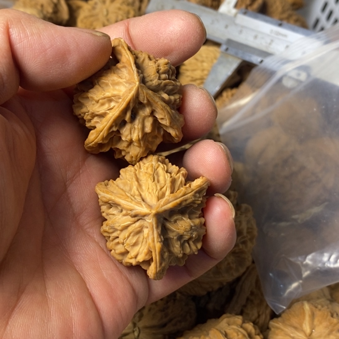 怡***林吊坠文玩核桃文玩