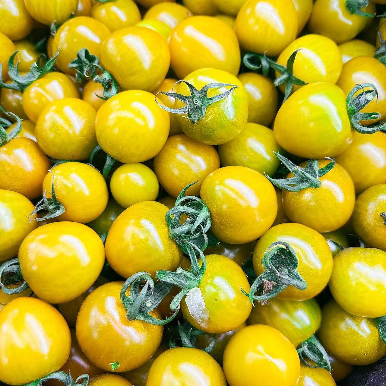 唐伯虎柿子 500克