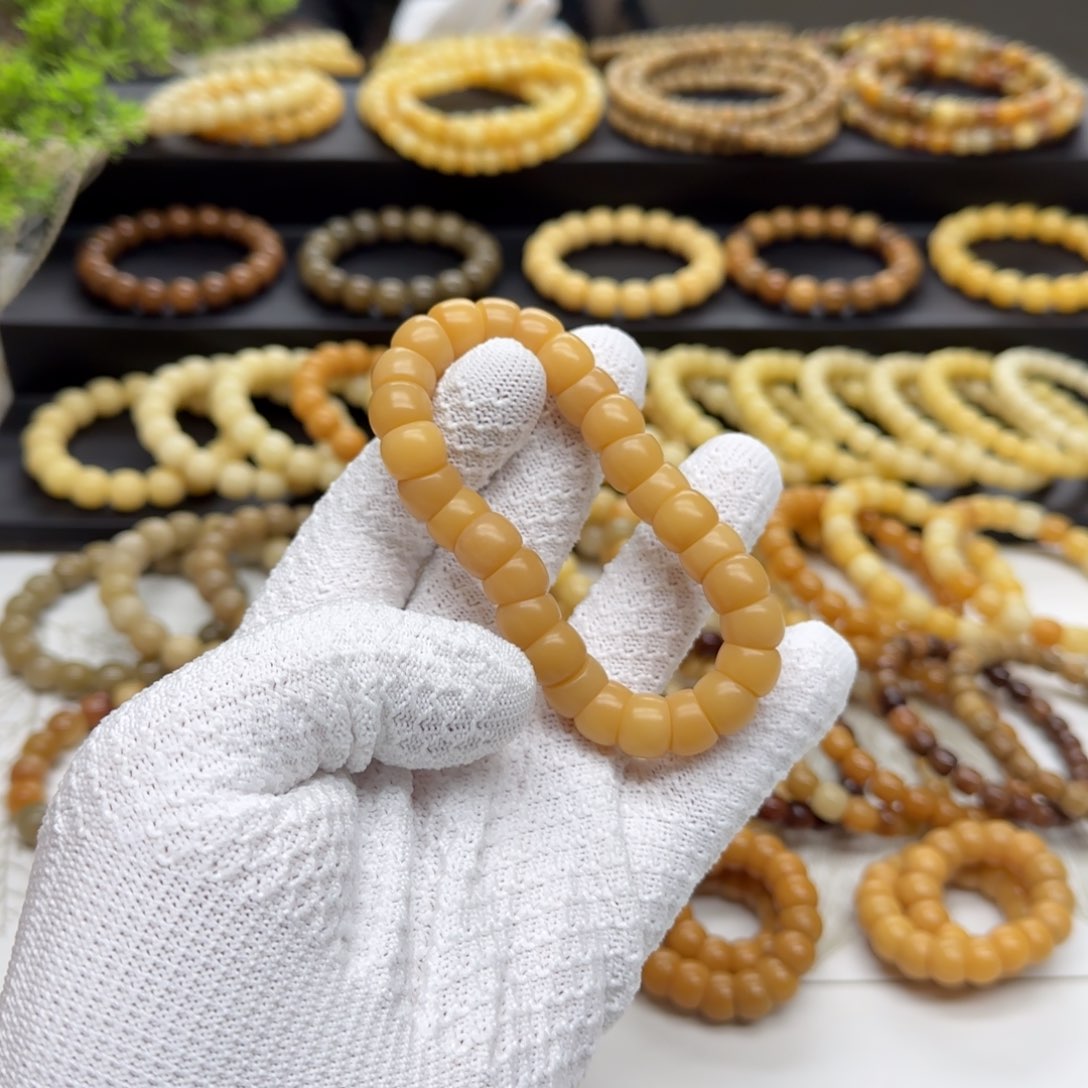 【闪购商品】菩提根/象牙果吊坠卡12大肠 精工 5年