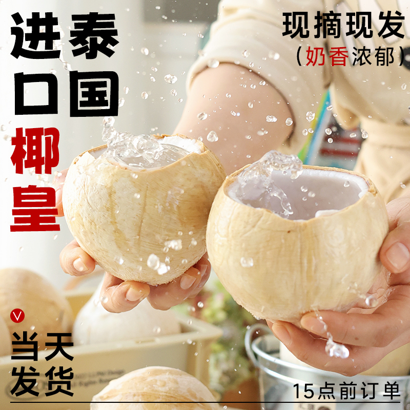 椰皇泰国进口牛奶香丹嫩沙多椰皇新鲜老椰肉烤椰青孕妇应季水果