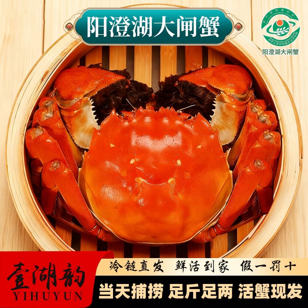 壹湖韵【活蟹】精品阳澄湖大闸蟹塘养全母3.0两6只8只10只装