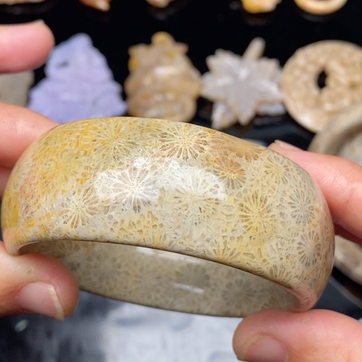 硅化珊瑚（珊瑚玉）手镯未镶嵌56