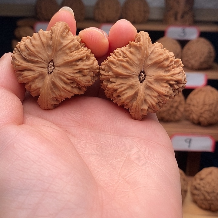 醉***园南将石文玩核桃42