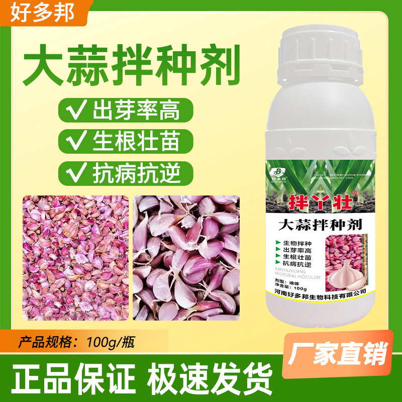 大蒜拌种专用蒜种出苗快出苗齐提高蒜种抗性生根壮苗长势健壮